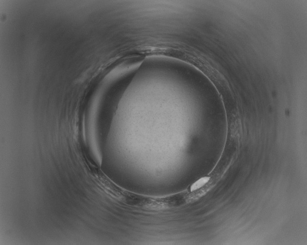 X0000051890604200506241351