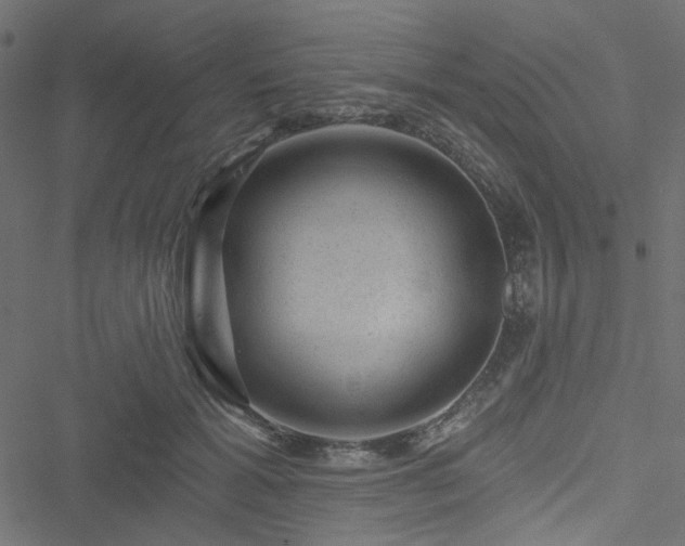 X0000051890605200506241351