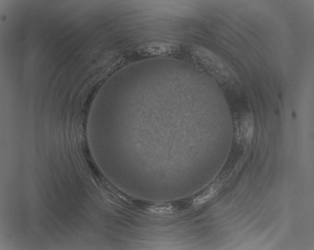 X0000051890606200506241351