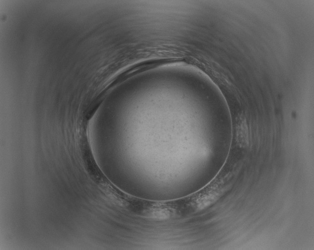 X0000051890608200506241351