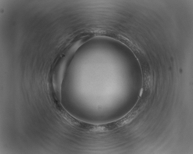 X0000051890609200506241351