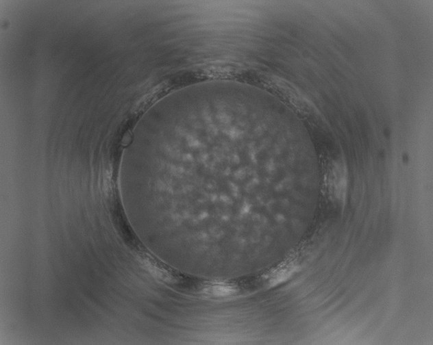 X0000051890610200506241351