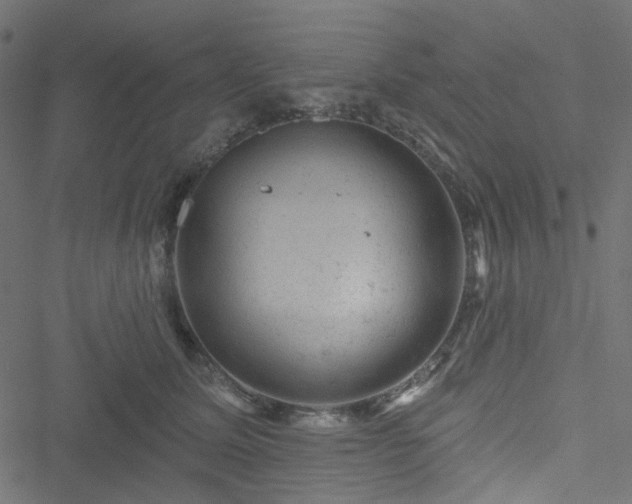 X0000051890611200506241351