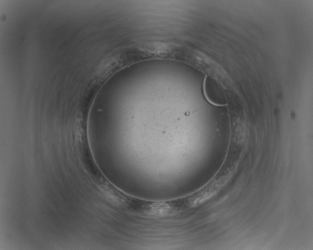 X0000051890612200506241351