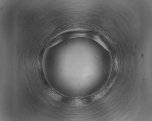 X0000051890613200506241351