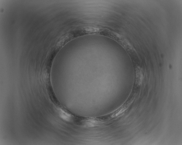 X0000051890614200506241351