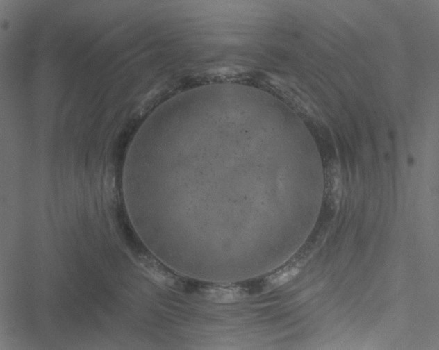 X0000051890615200506241351