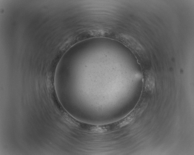 X0000051890616200506241351