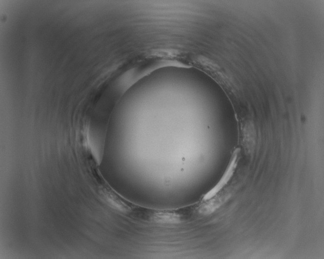 X0000051890617200506241351