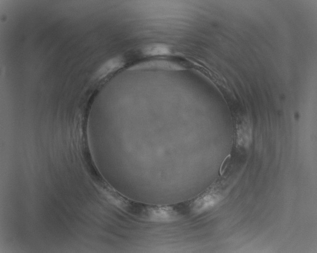 X0000051890618200506241350