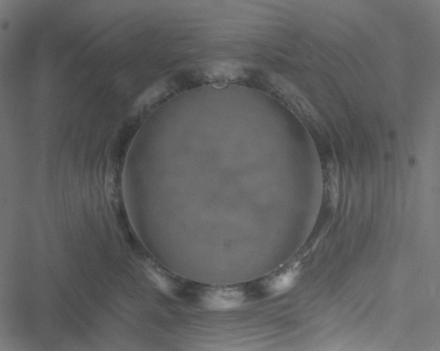 X0000051890619200506241350