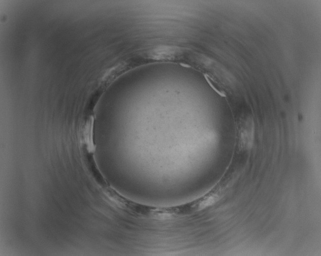 X0000051890620200506241350