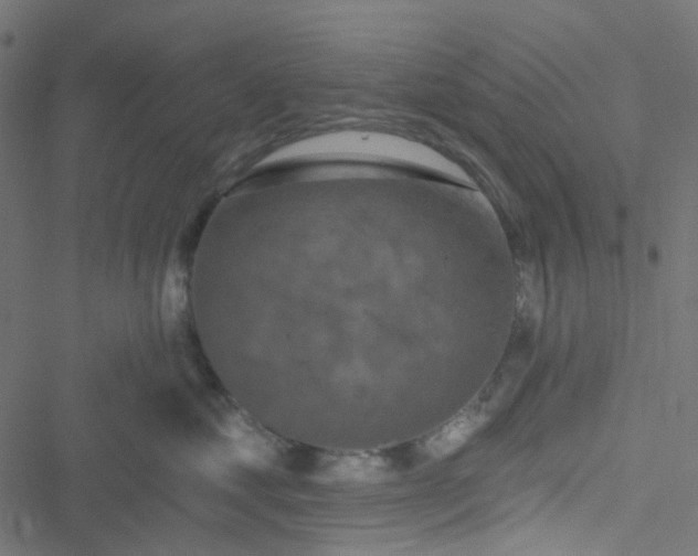 X0000051890621200506241350