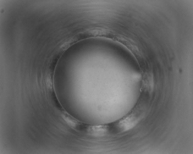 X0000051890622200506241350