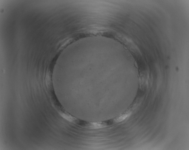 X0000051890623200506241350