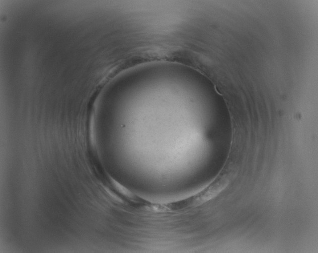 X0000051890624200506241350