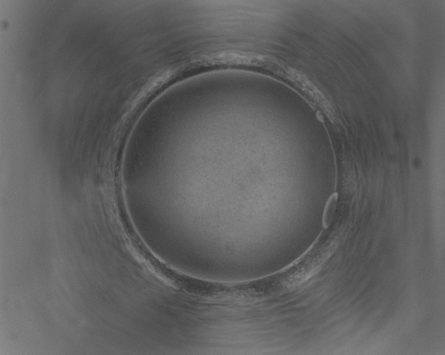 X0000051890625200506241350