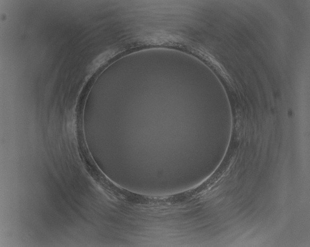 X0000051890626200506241350