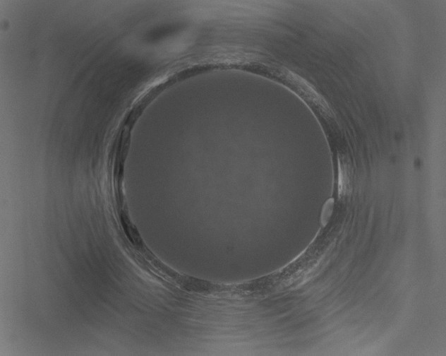 X0000051890627200506241350