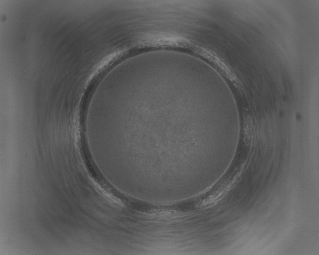 X0000051890629200506241350