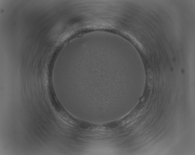 X0000051890631200506241350