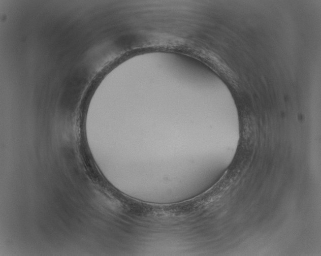 X0000051890632200506241350