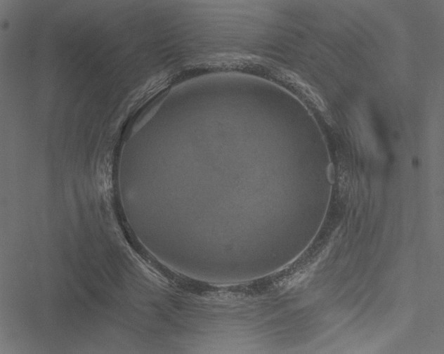 X0000051890633200506241350