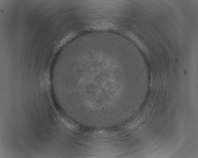 X0000051890634200506241350