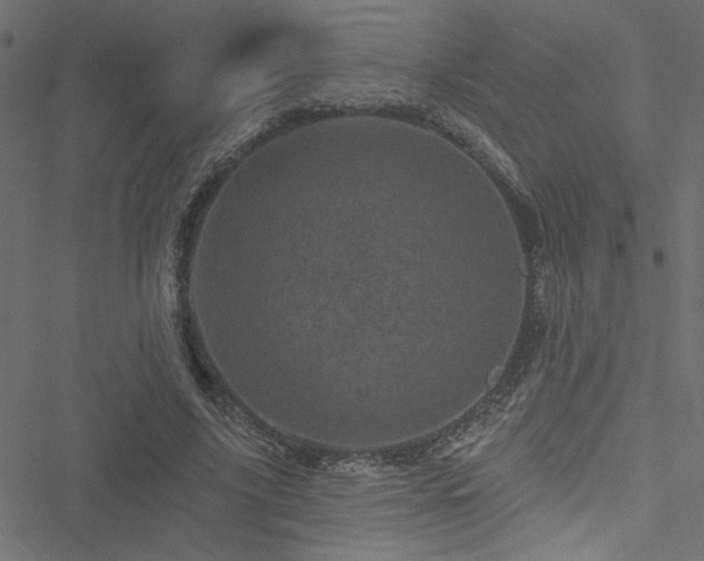 X0000051890635200506241350