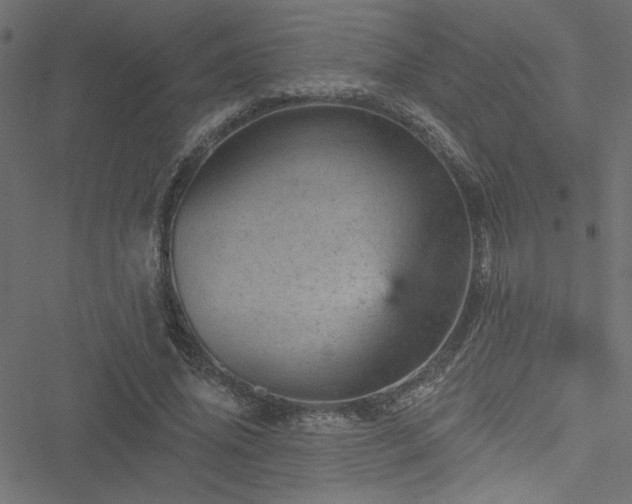 X0000051890636200506241350