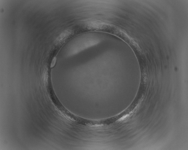 X0000051890637200506241350