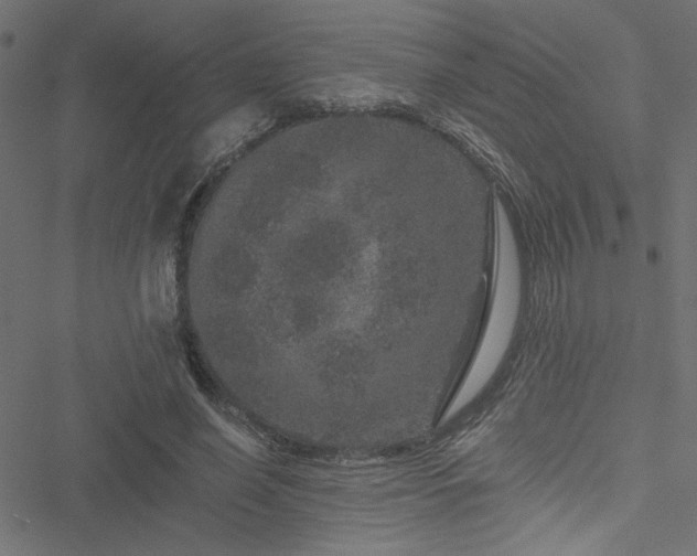 X0000051890638200506241350