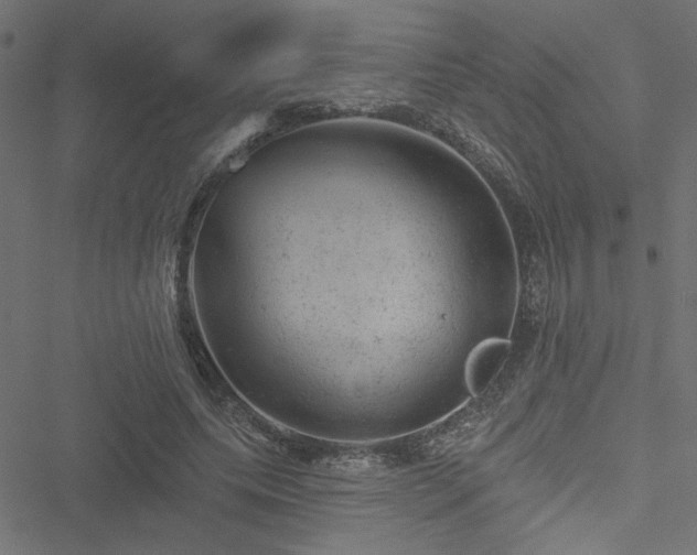 X0000051890639200506241350