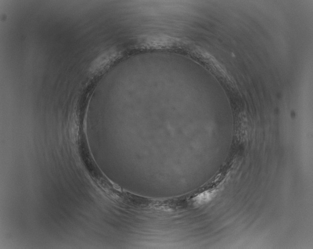 X0000051890640200506241350