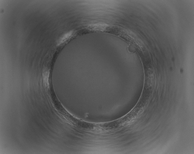 X0000051890641200506241350