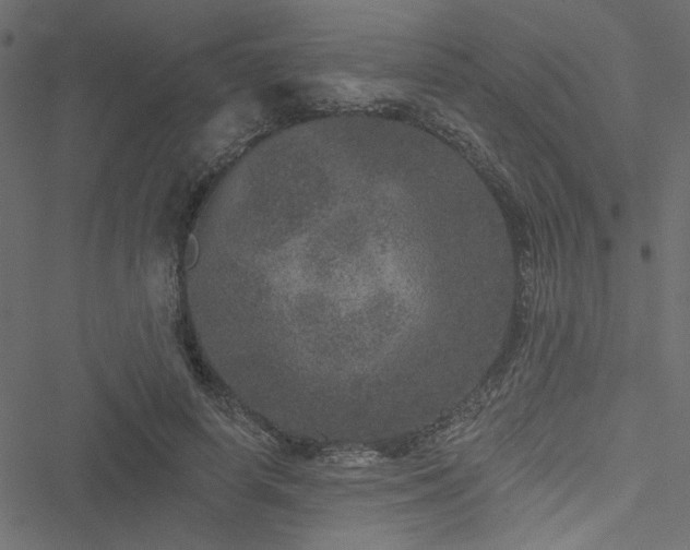 X0000051890642200506241350