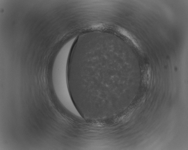 X0000051890643200506241350