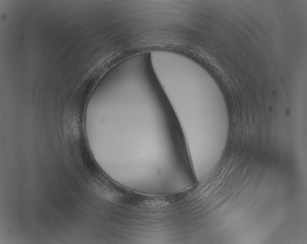 X0000051890644200506241350