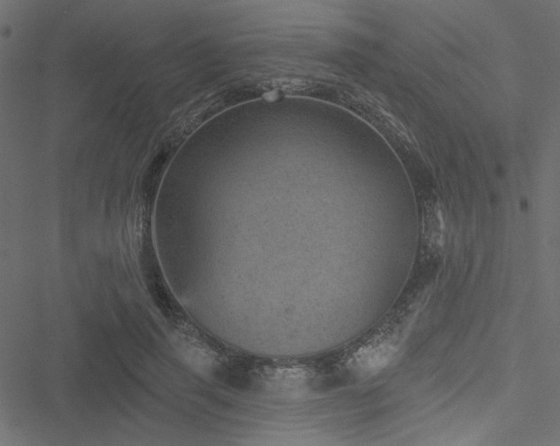 X0000051890645200506241350