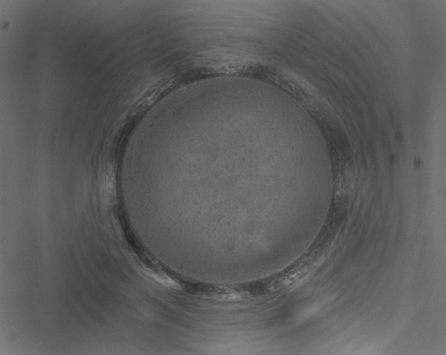 X0000051890646200506241350