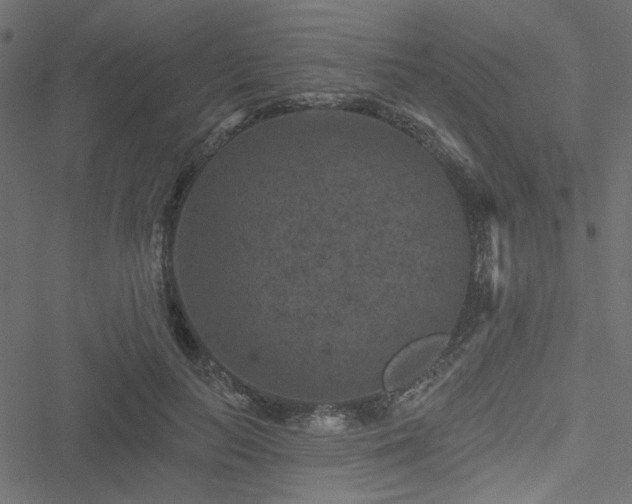 X0000051890647200506241350