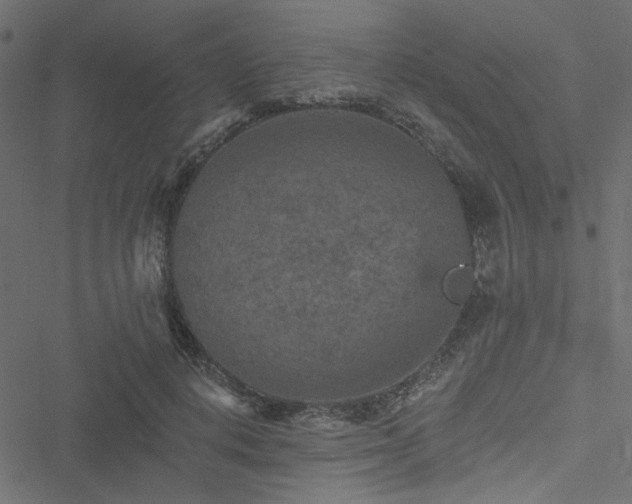 X0000051890648200506241350