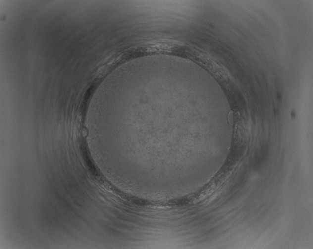 X0000051890649200506241350