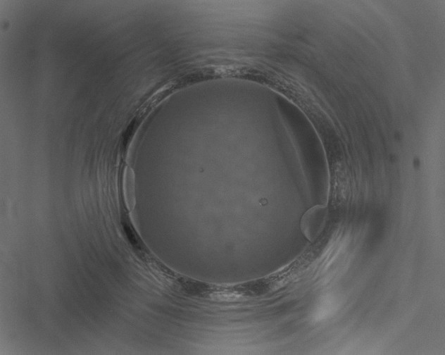 X0000051890650200506241350