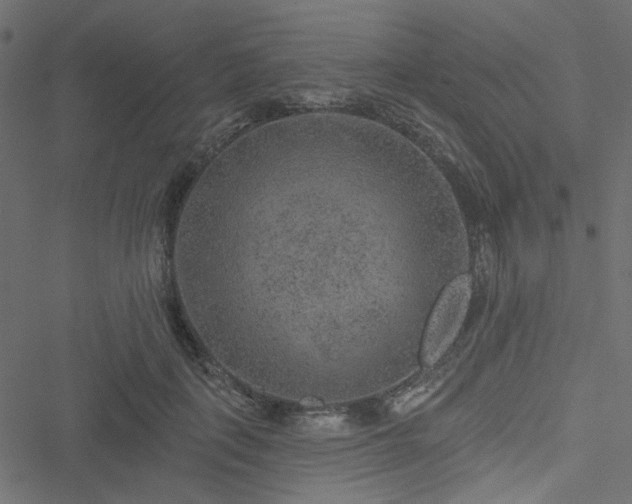 X0000051890651200506241350