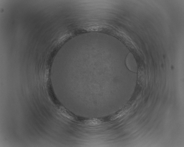 X0000051890652200506241350