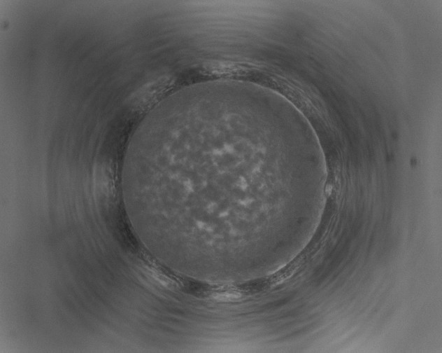 X0000051890653200506241350