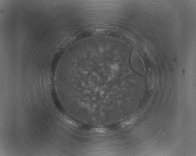 X0000051890654200506241350