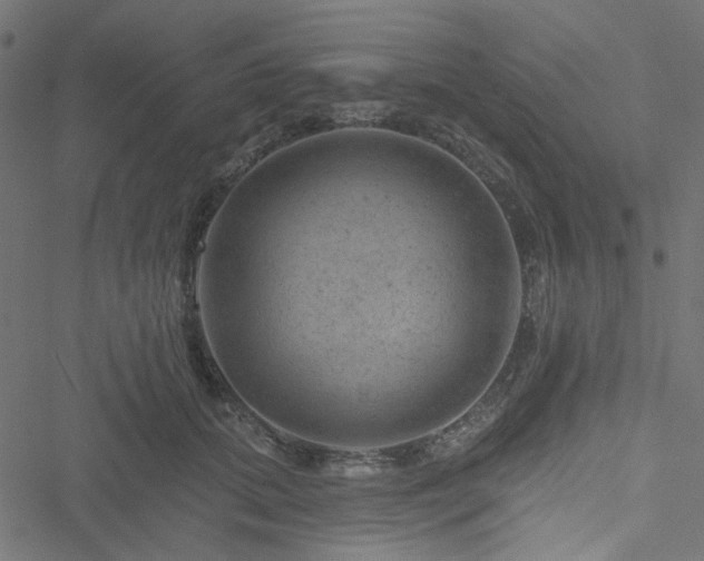 X0000051890655200506241350