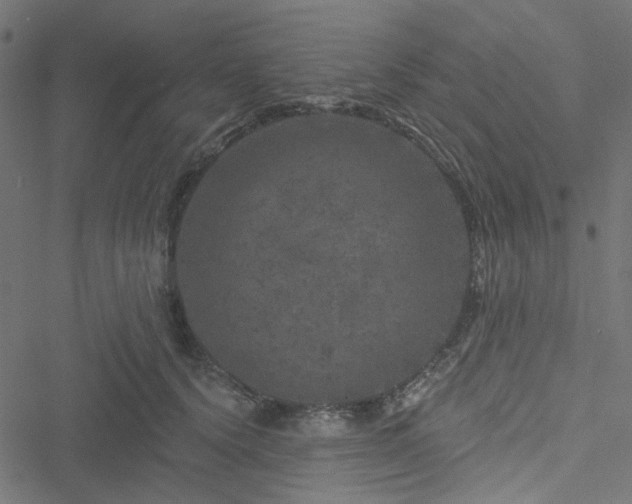 X0000051890656200506241350